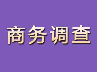 柞水商务调查